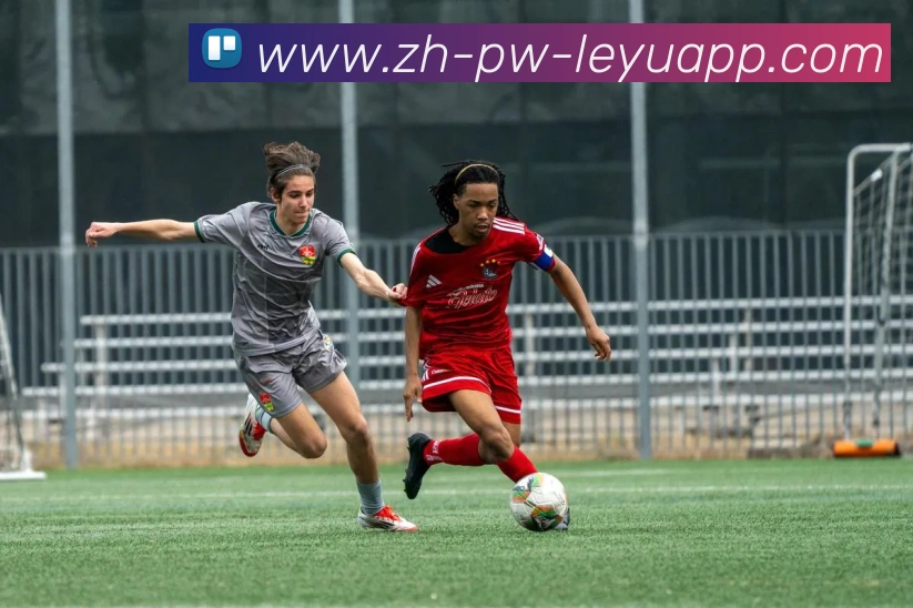 乐鱼体育APP 体育赛事宣传图