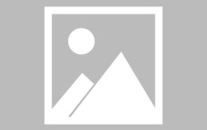 乐鱼体育入口-世俱杯球员场上协作表现及其对整体战术配合的促进